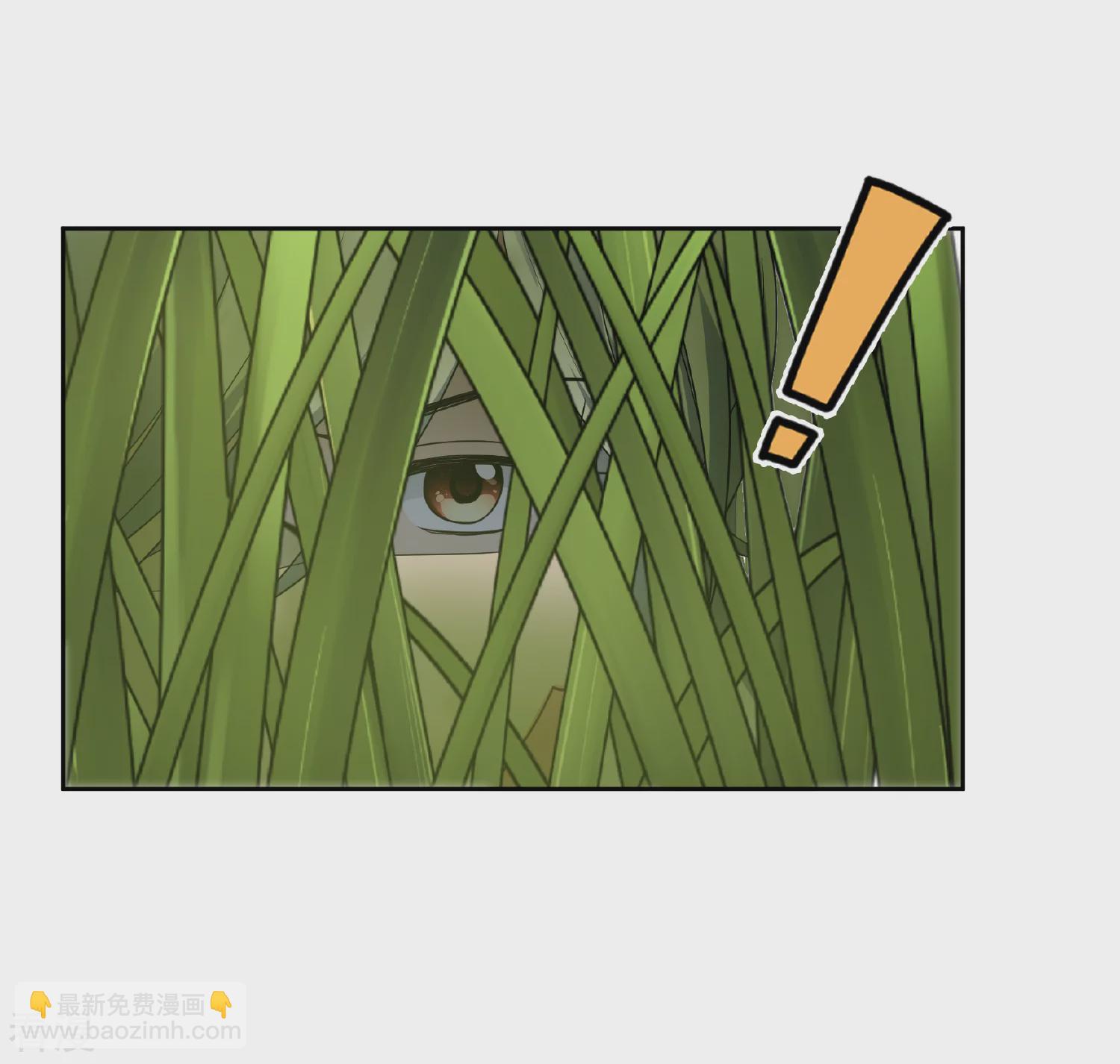 🍻妃夕妍雪 第2季第79话 遇刺1 第32页