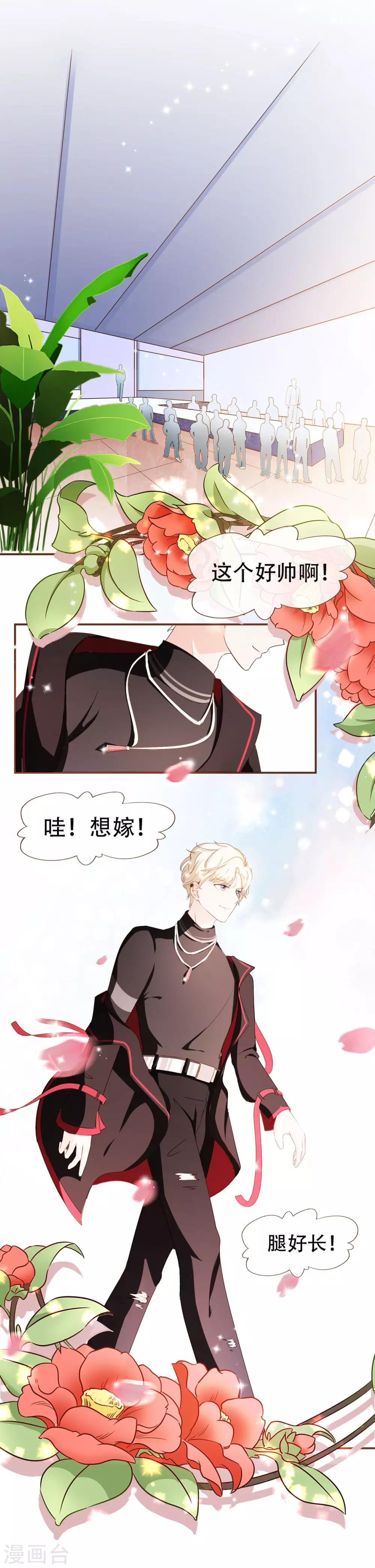 第41话 莫总监在哪整的容-第43话