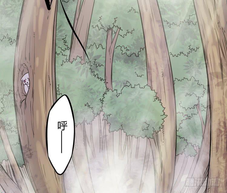 🍸该死的少女漫画 放开那个男孩！ 第19页