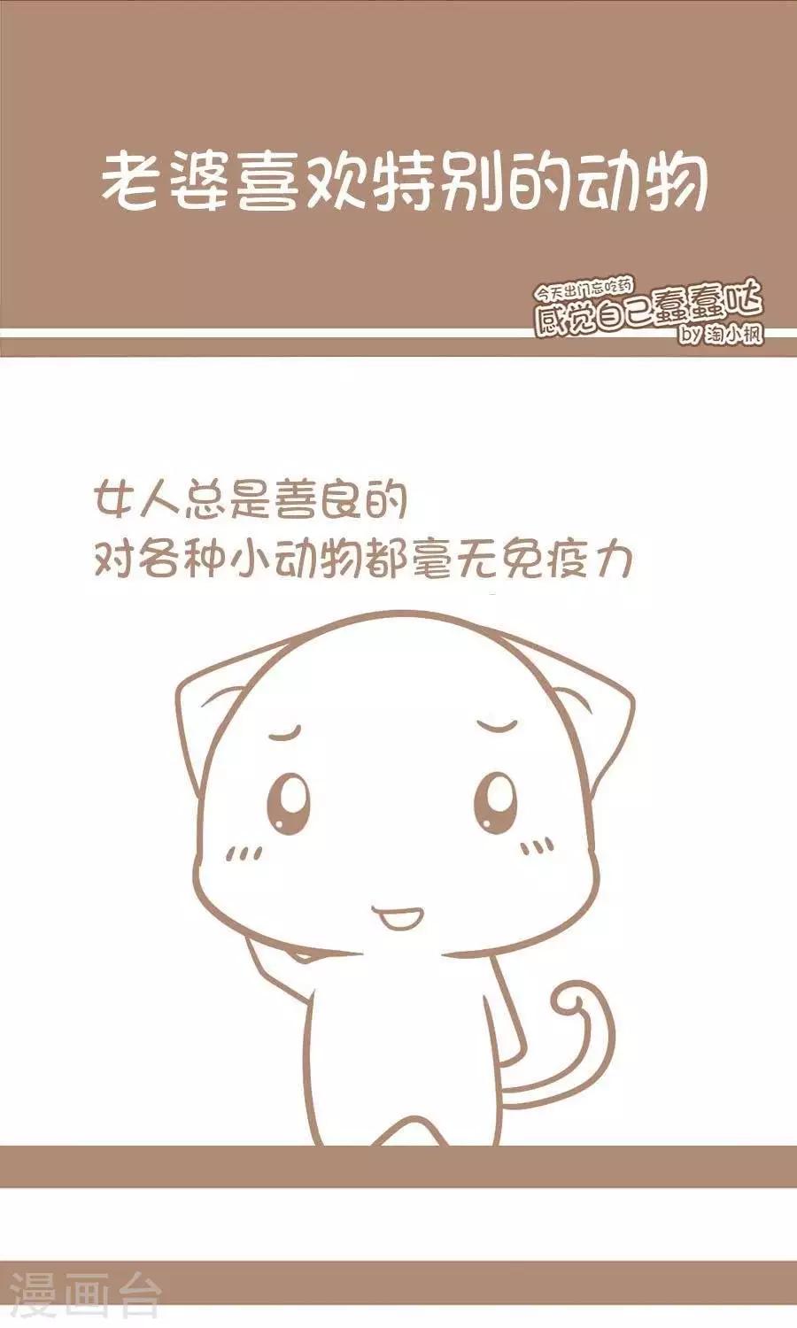 第24话  老婆喜欢特别的动物-第23话