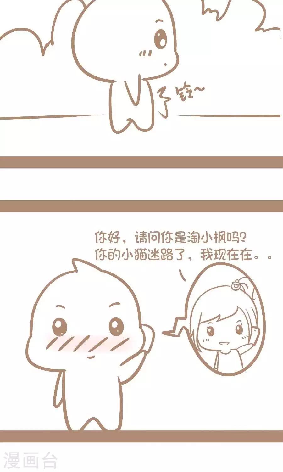第42话  善解人意的喵喵-第41话