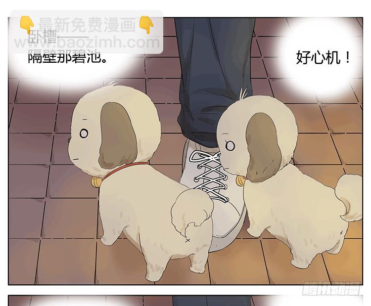 遛狗遛出了意外-第47话