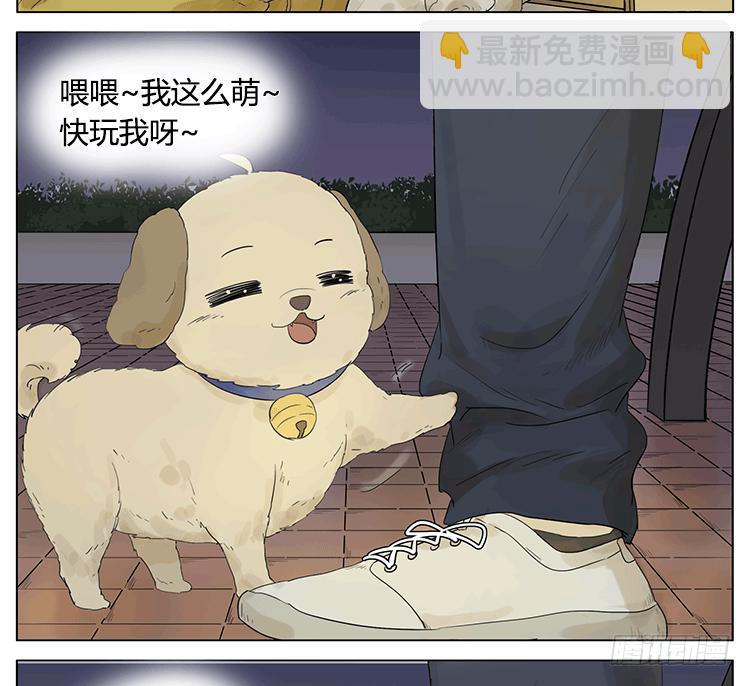 遛狗遛出了意外-第47话
