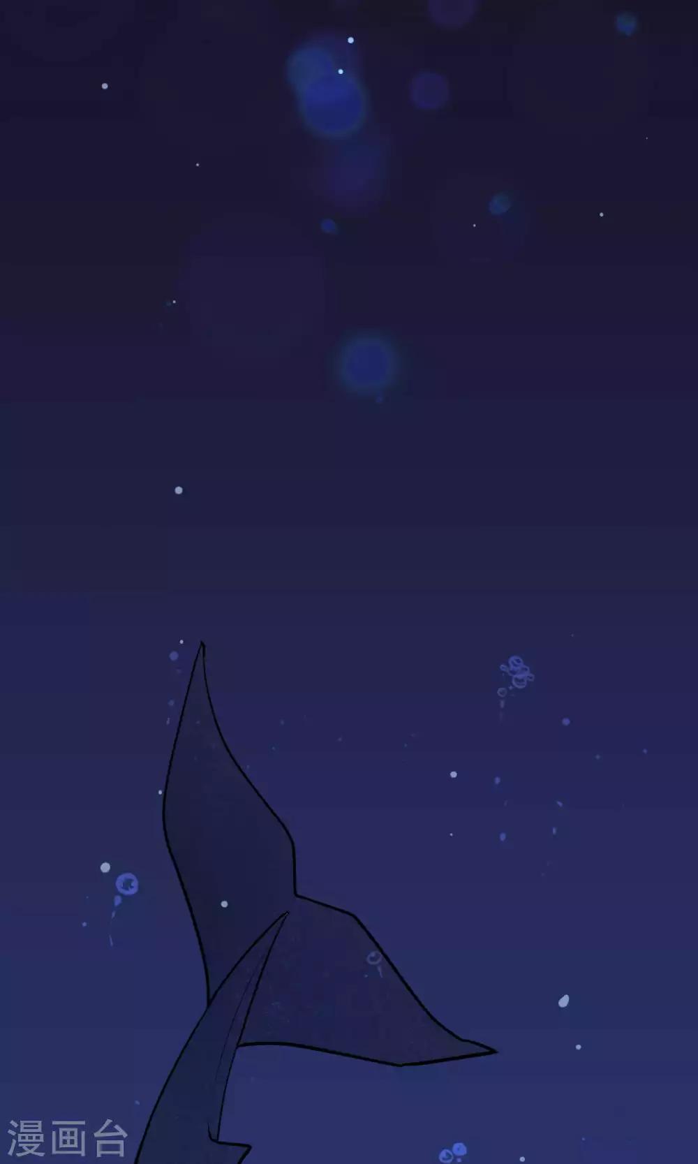 第21话2 鲸之歌-第29话