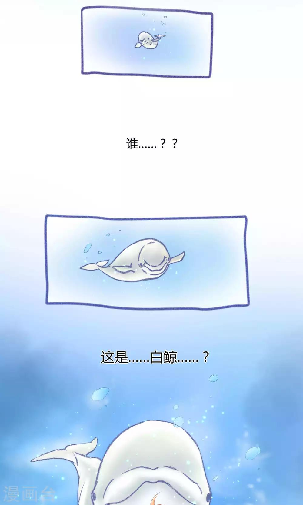 第2话 求偶求爱求关注-第5话