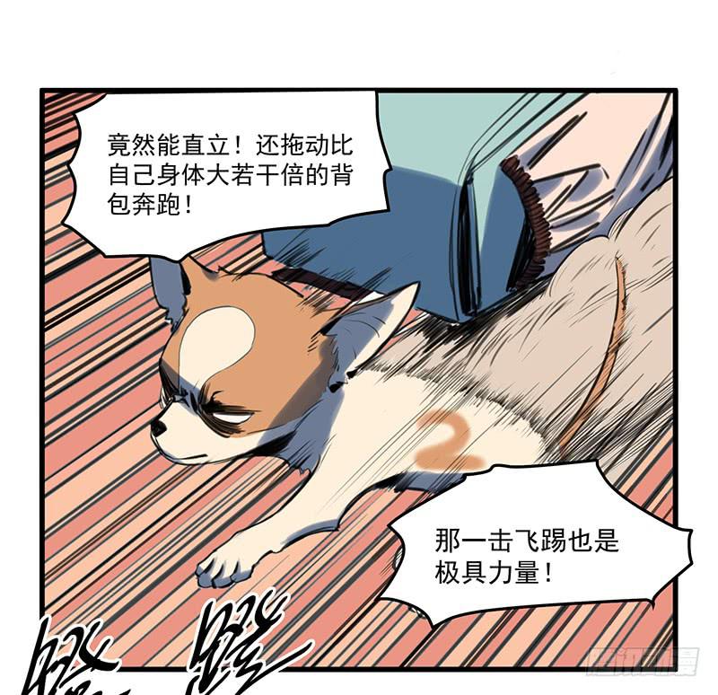 隐匿的犬之城(1/2)-第1话