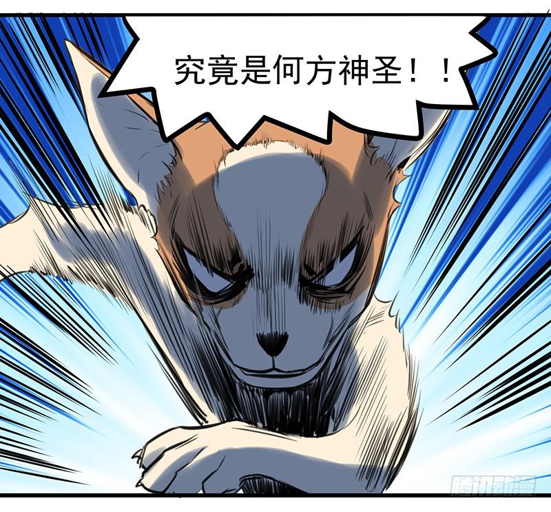 隐匿的犬之城(1/2)-第1话