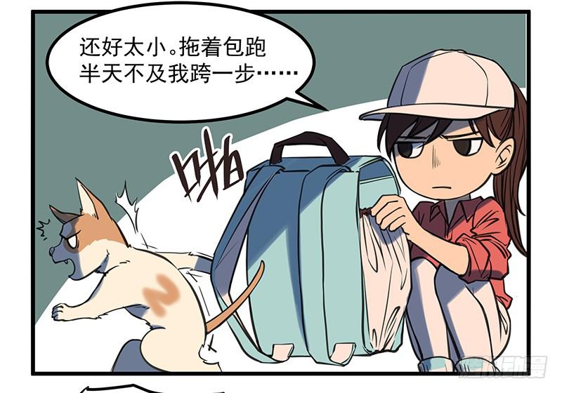 隐匿的犬之城(1/2)-第1话