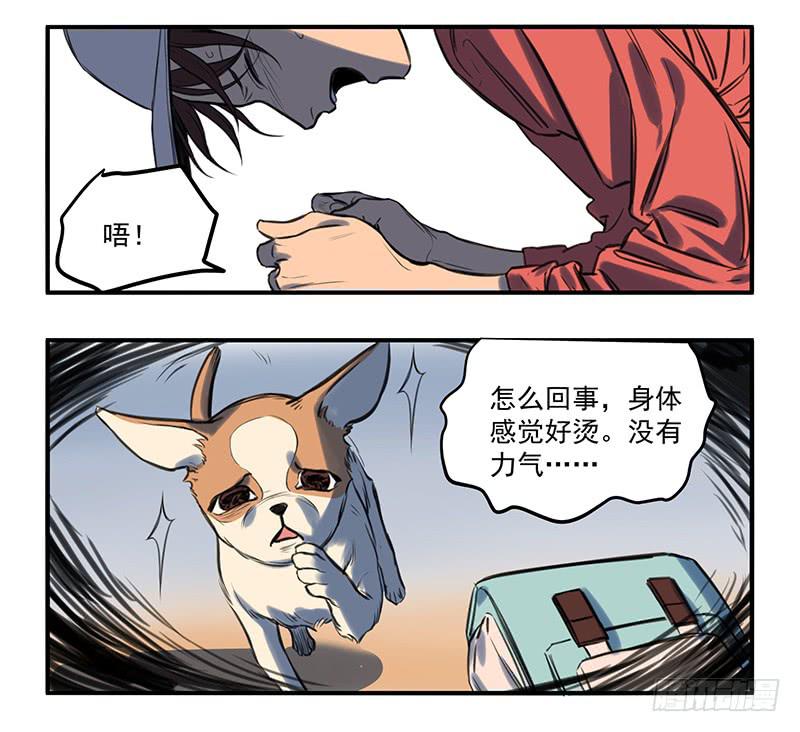隐匿的犬之城(1/2)-第1话
