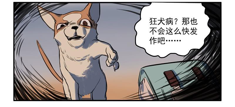隐匿的犬之城(1/2)-第1话
