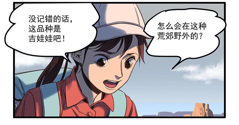 隐匿的犬之城(1/2)-第1话