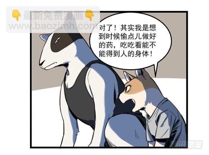 她就要变成狗了-第11话