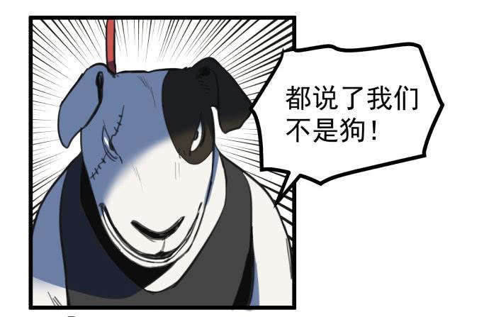 文明养犬 遛狗牵绳-第15话
