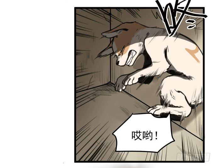 犬化病的少女(1/2)-第3话