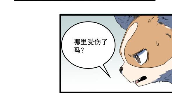 以后我罩着你-第21话