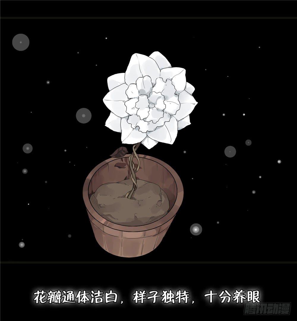 葬花【二】-第73话