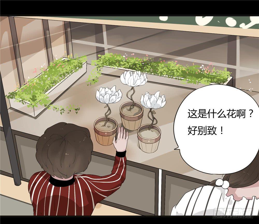 葬花【二】-第73话