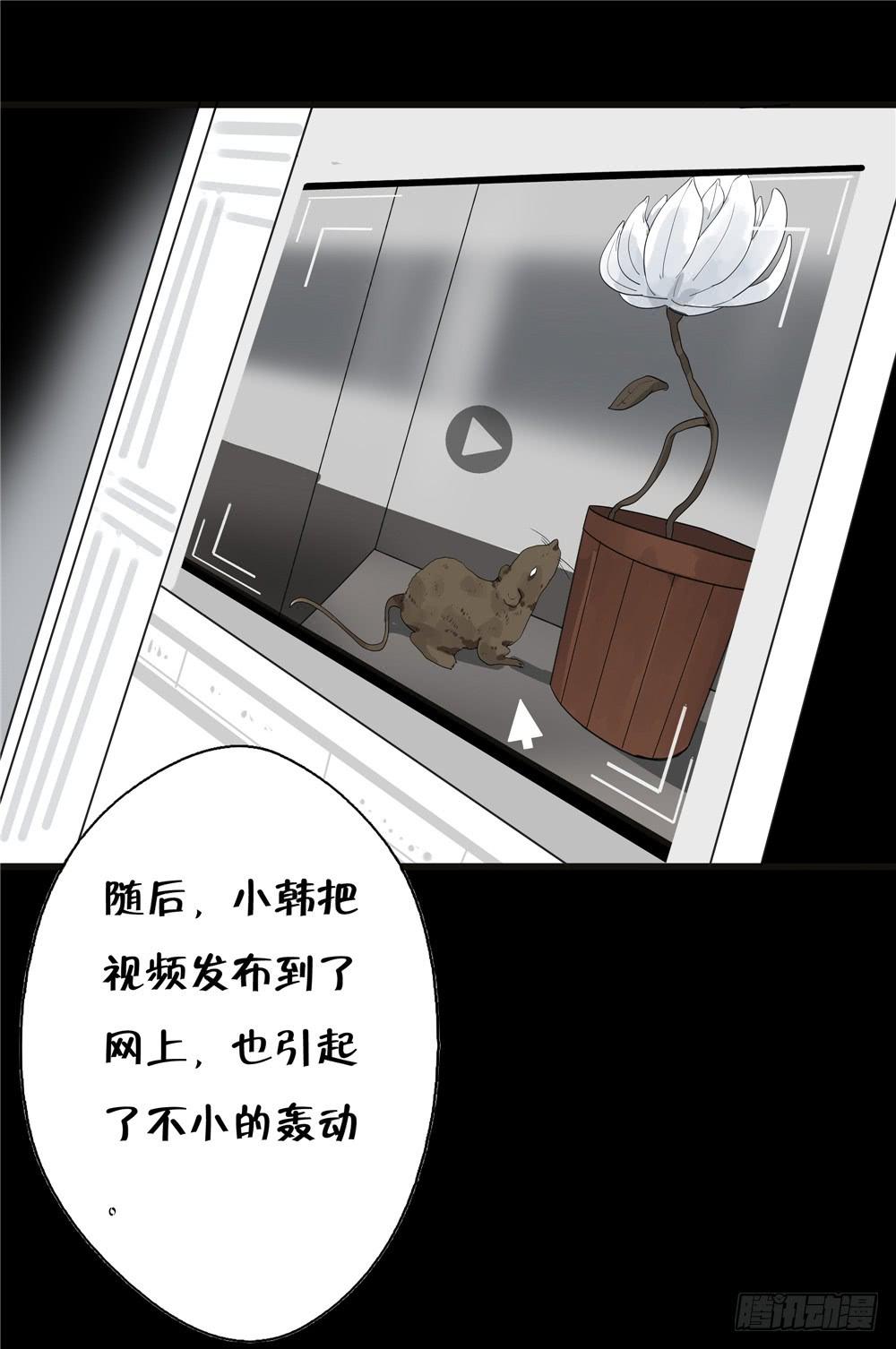 葬花【六】-第77话