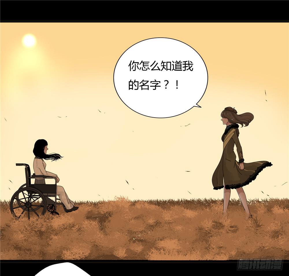葬花【八】(1/2)-第79话