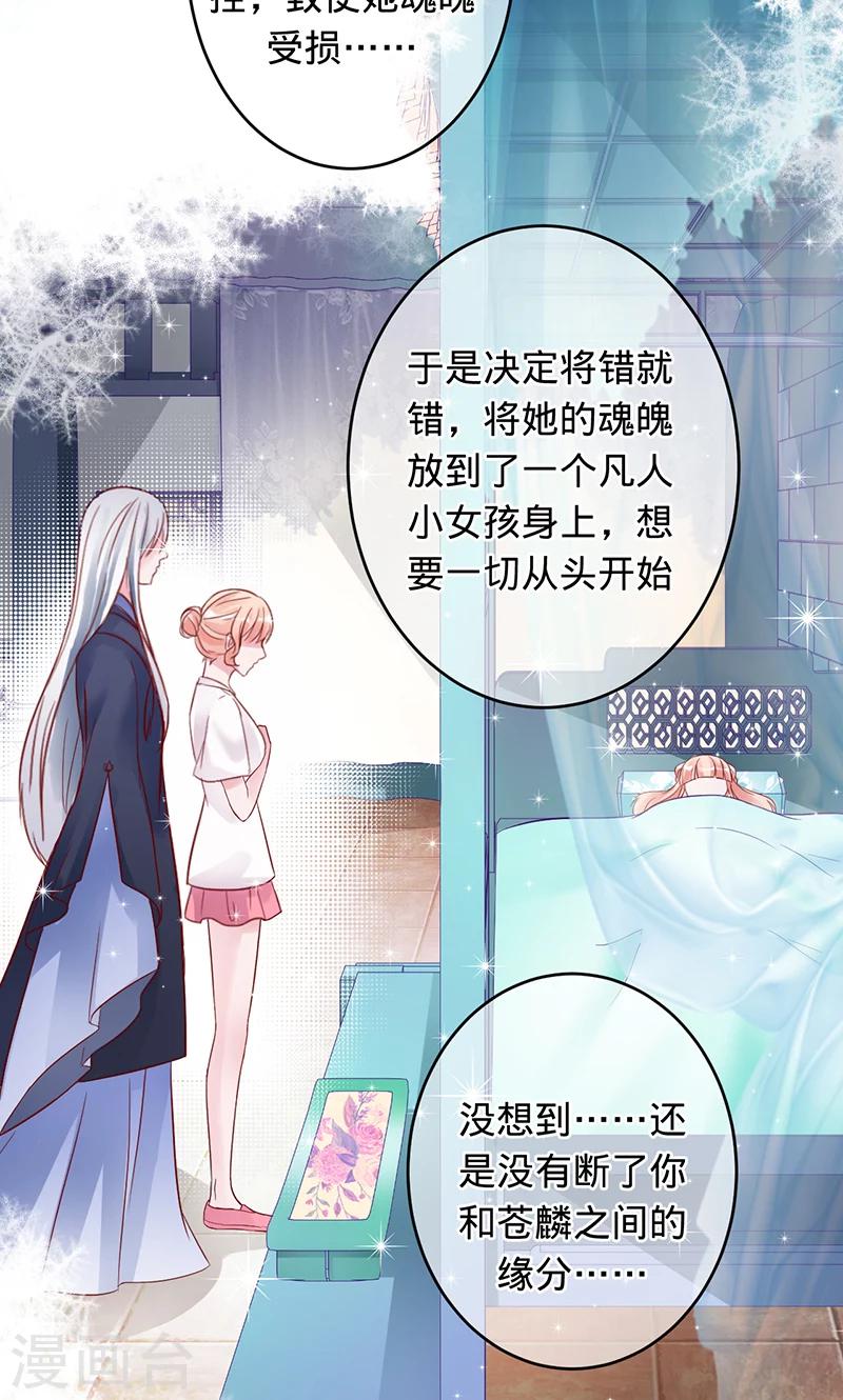 最终话 彼岸花开，我们永不分离-第99话