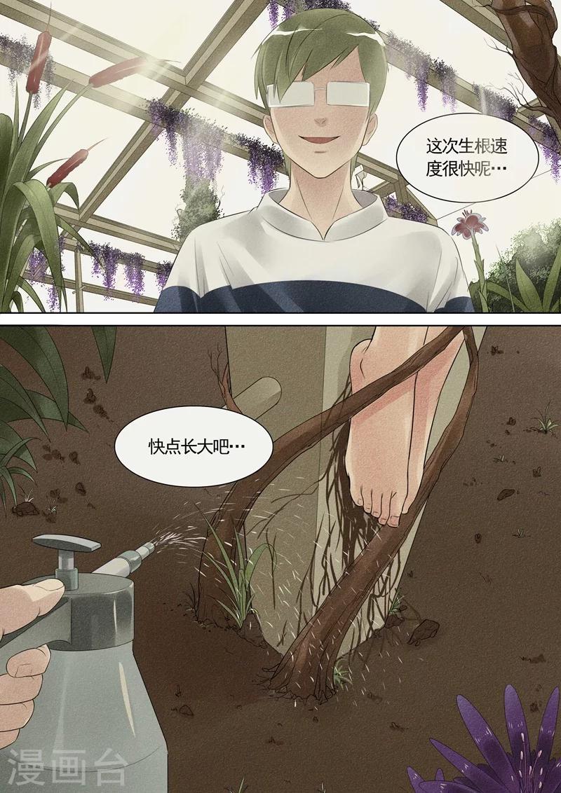 第19话 植物人3-第19话