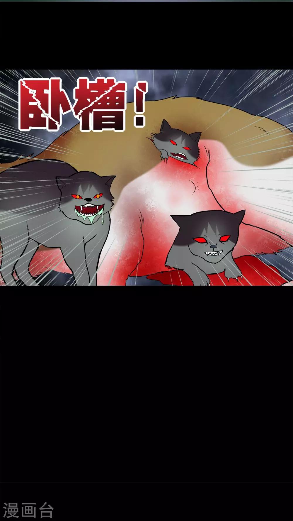 第69话 茹猫饮血(2)-第69话