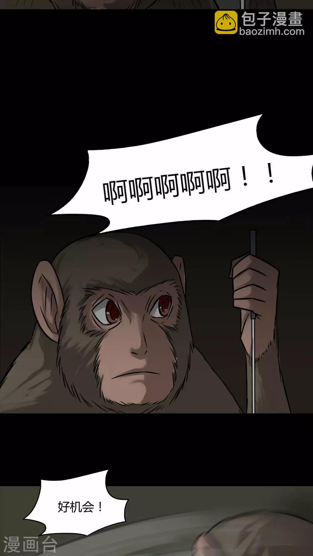 第85话 猴知猴觉(2)-第85话