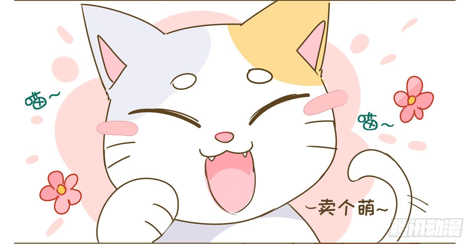 一只猫的滑铁卢Ⅰ-第69话