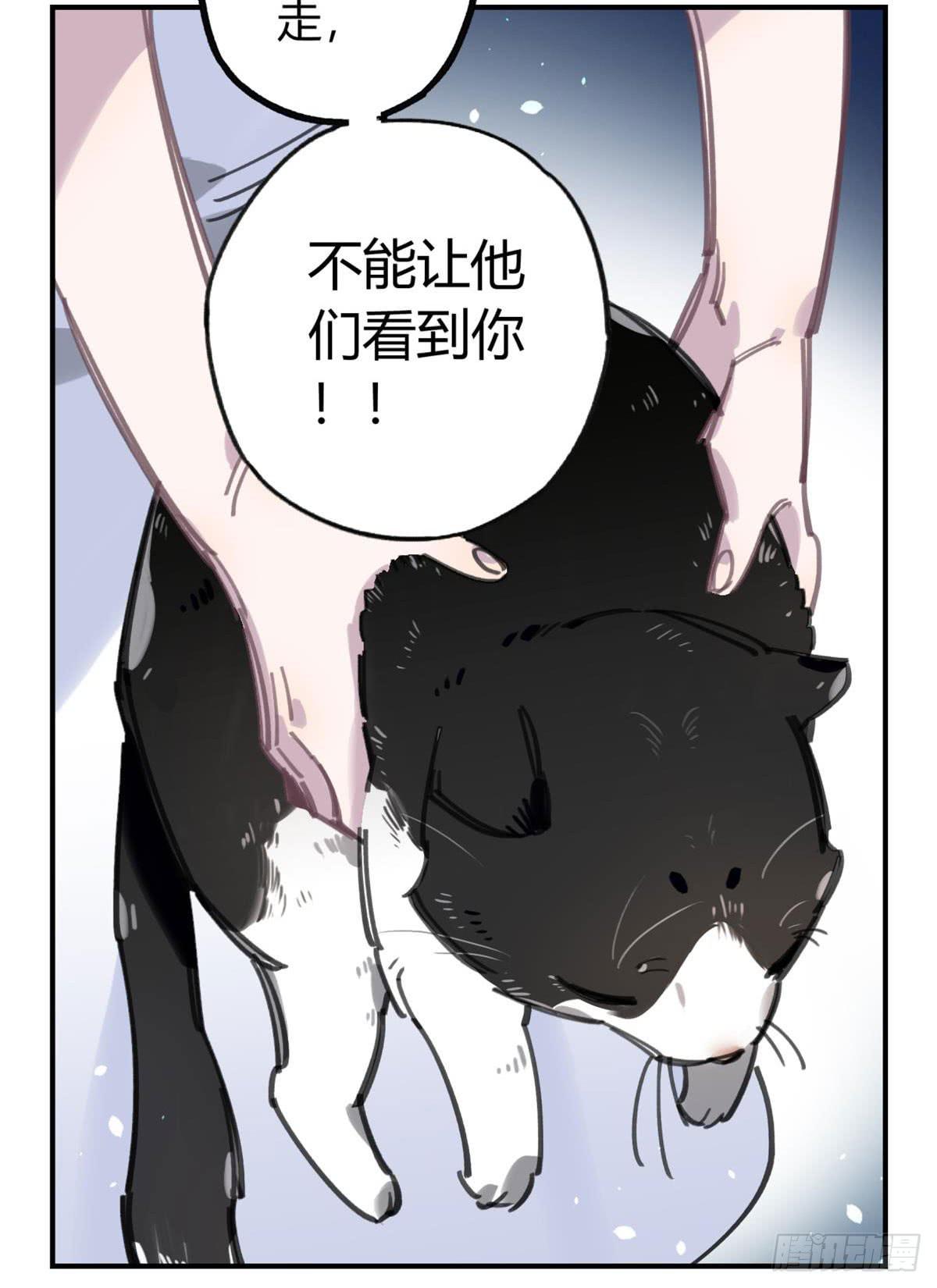 被丢弃的猫-第53话