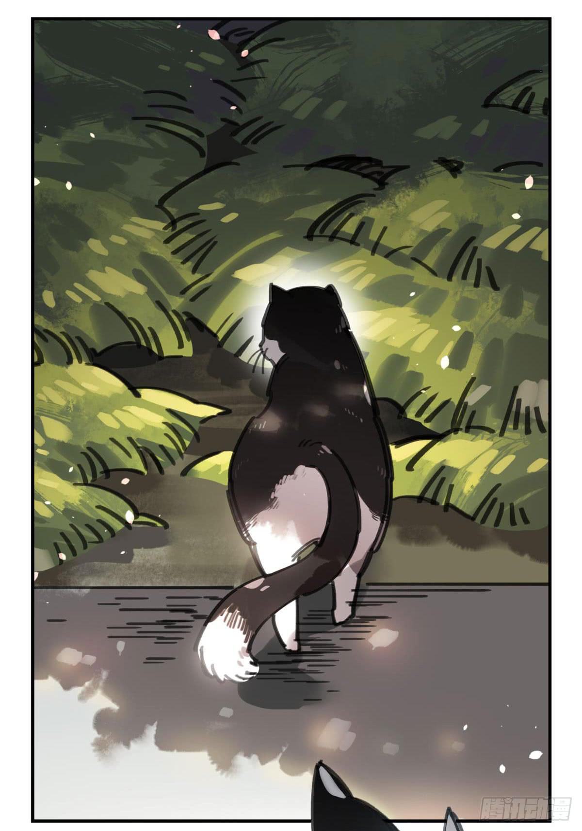被丢弃的猫-第53话