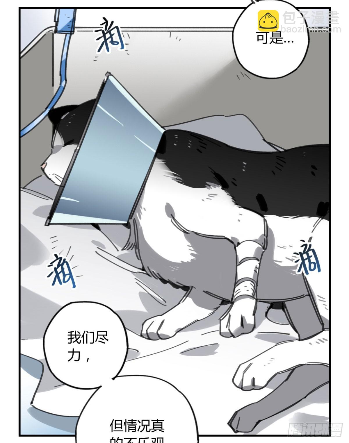 一定要救它！(1/2)-第57话