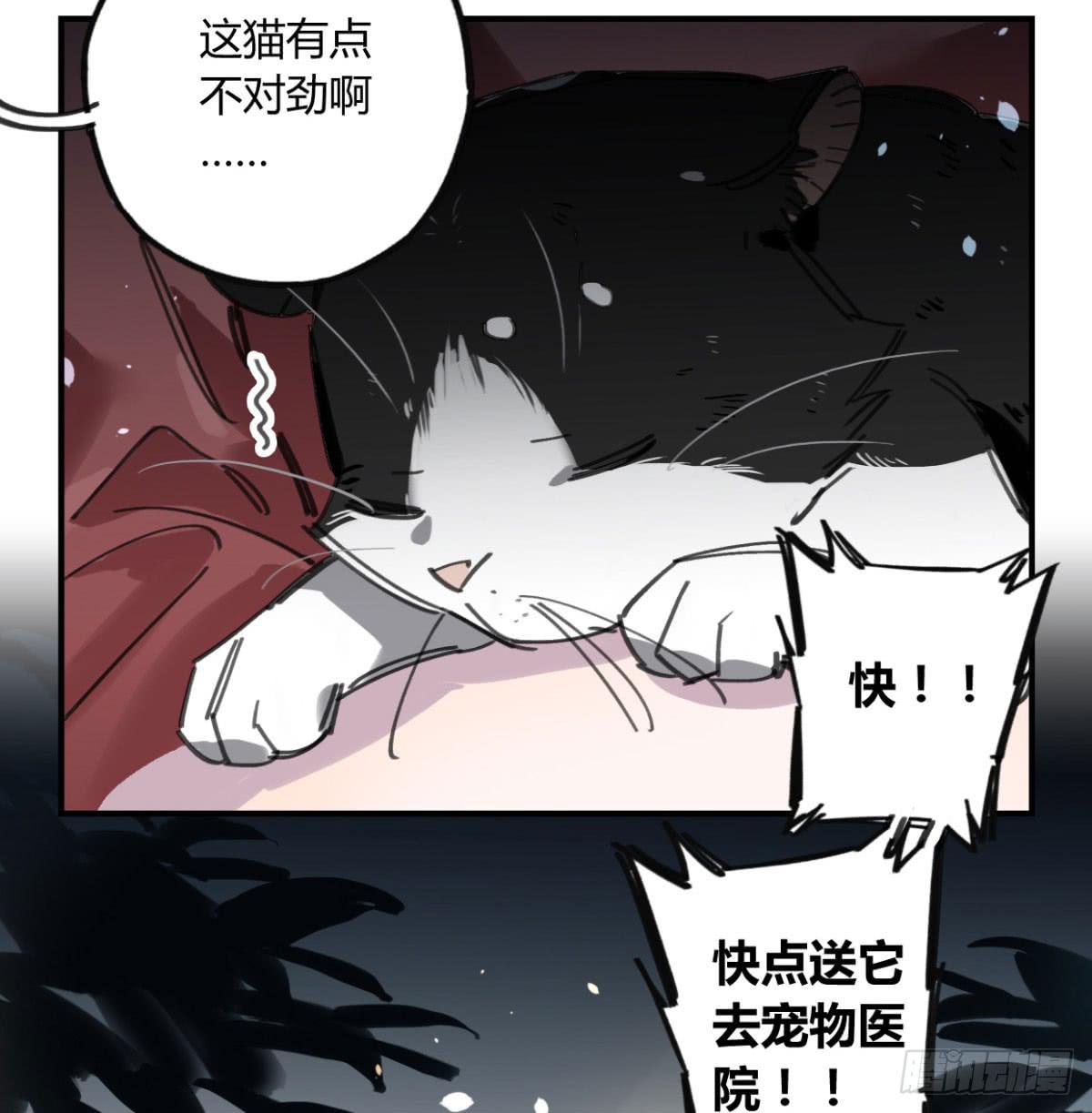 一定要救它！(1/2)-第57话