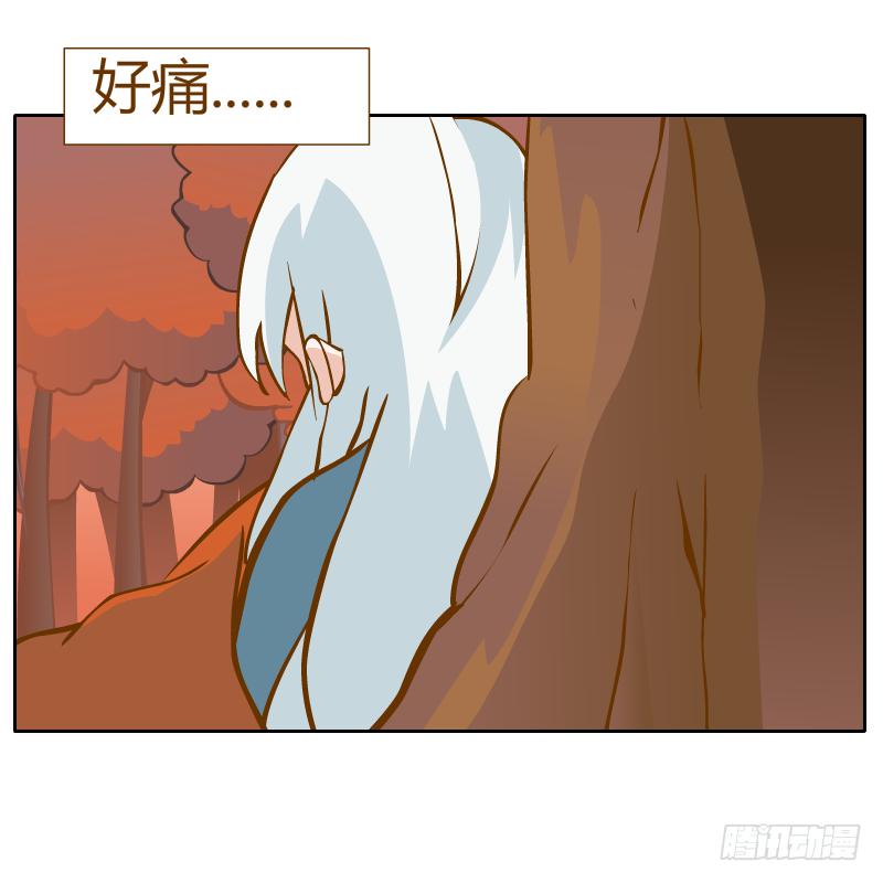 白容再现(1/2)-第23话