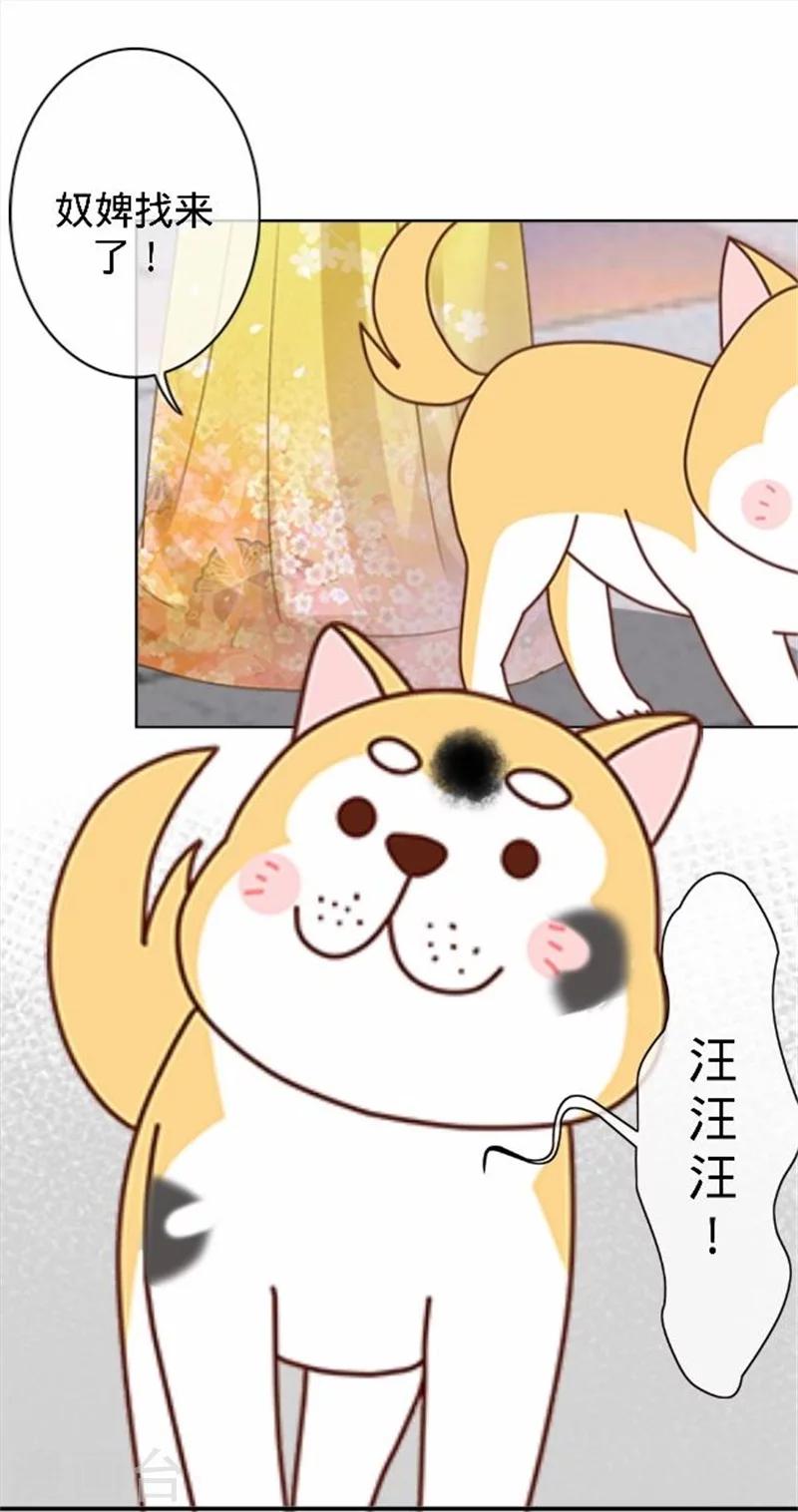 第39话 狗小霜(1/2)-第39话