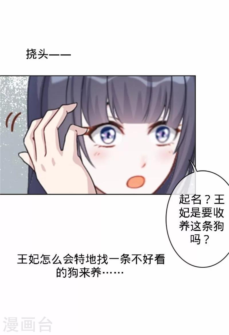 第39话 狗小霜(1/2)-第39话