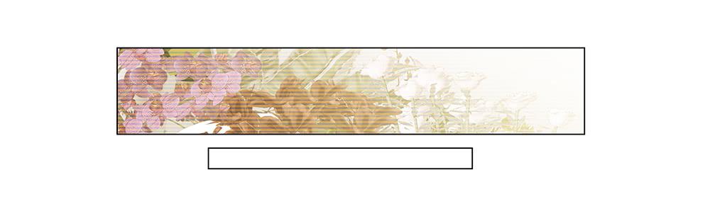 从没问过我喜欢什么！-第45话