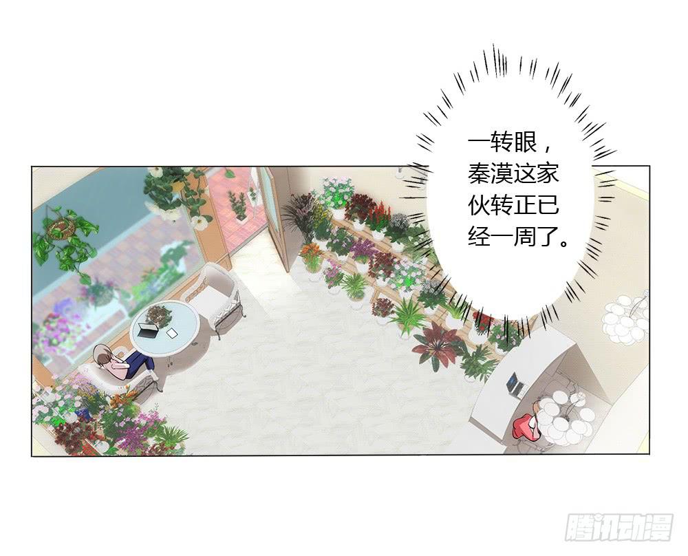 新的应聘者-第7话