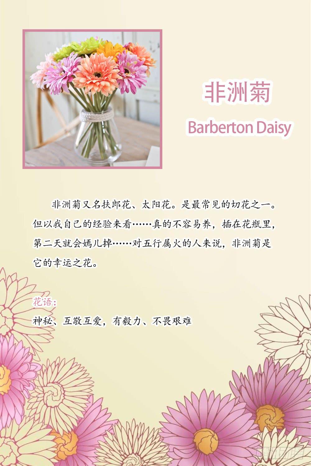 新的应聘者-第7话