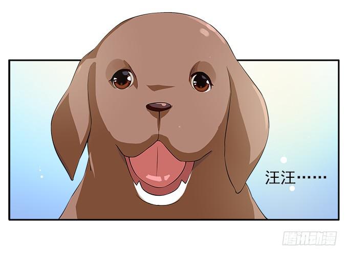 【鸢尾花2】短暂的幸福-第3话