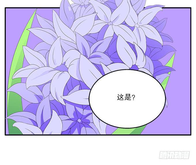 蓝色水菊-第67话