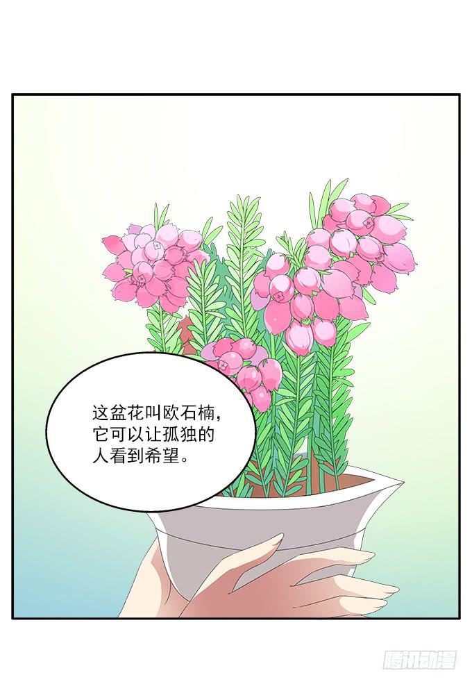 欧石楠-第73话