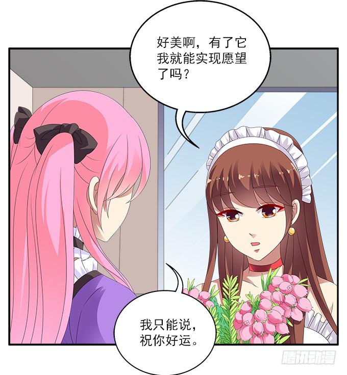 欧石楠-第73话