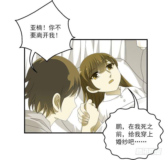 欧石楠-第73话