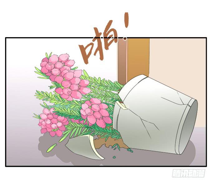 欧石楠-第73话