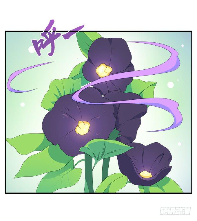 黑色曼陀罗-第75话