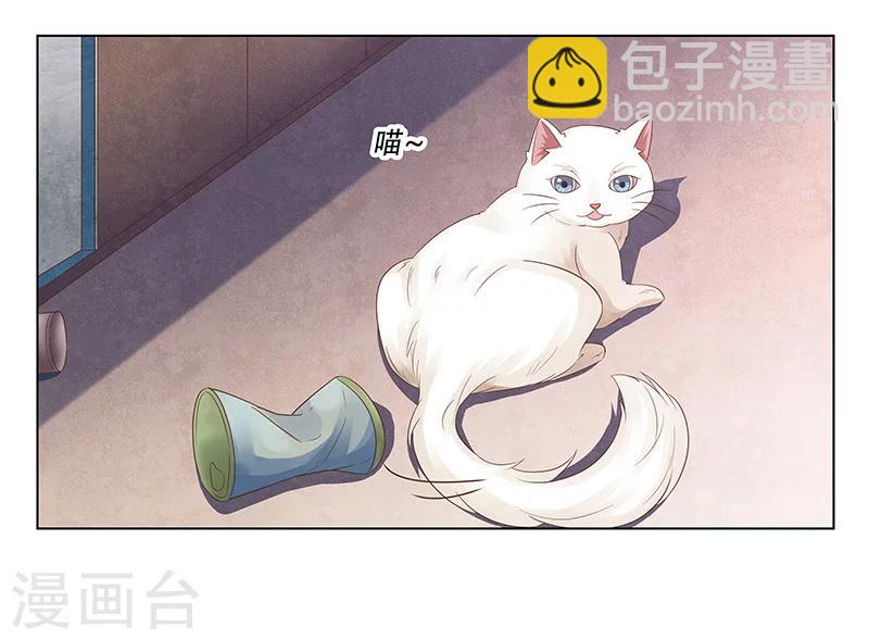 第50话 尽快把她解决！-第51话