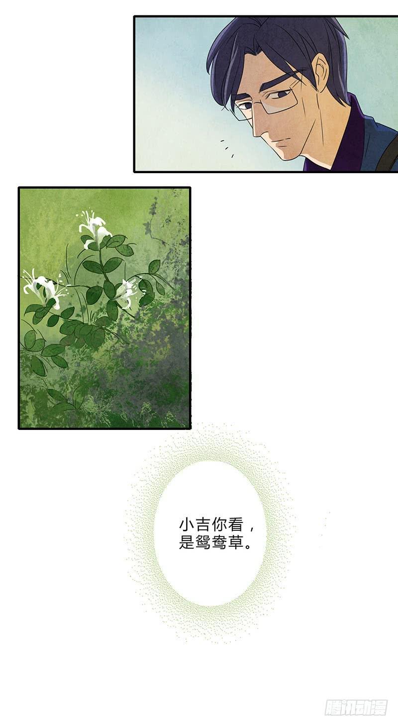 鸳鸯草-第77话