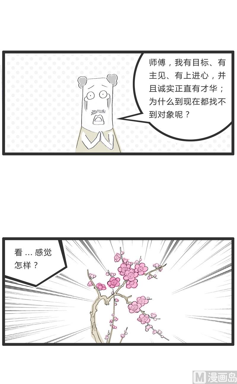 盛开的梅花-第149话