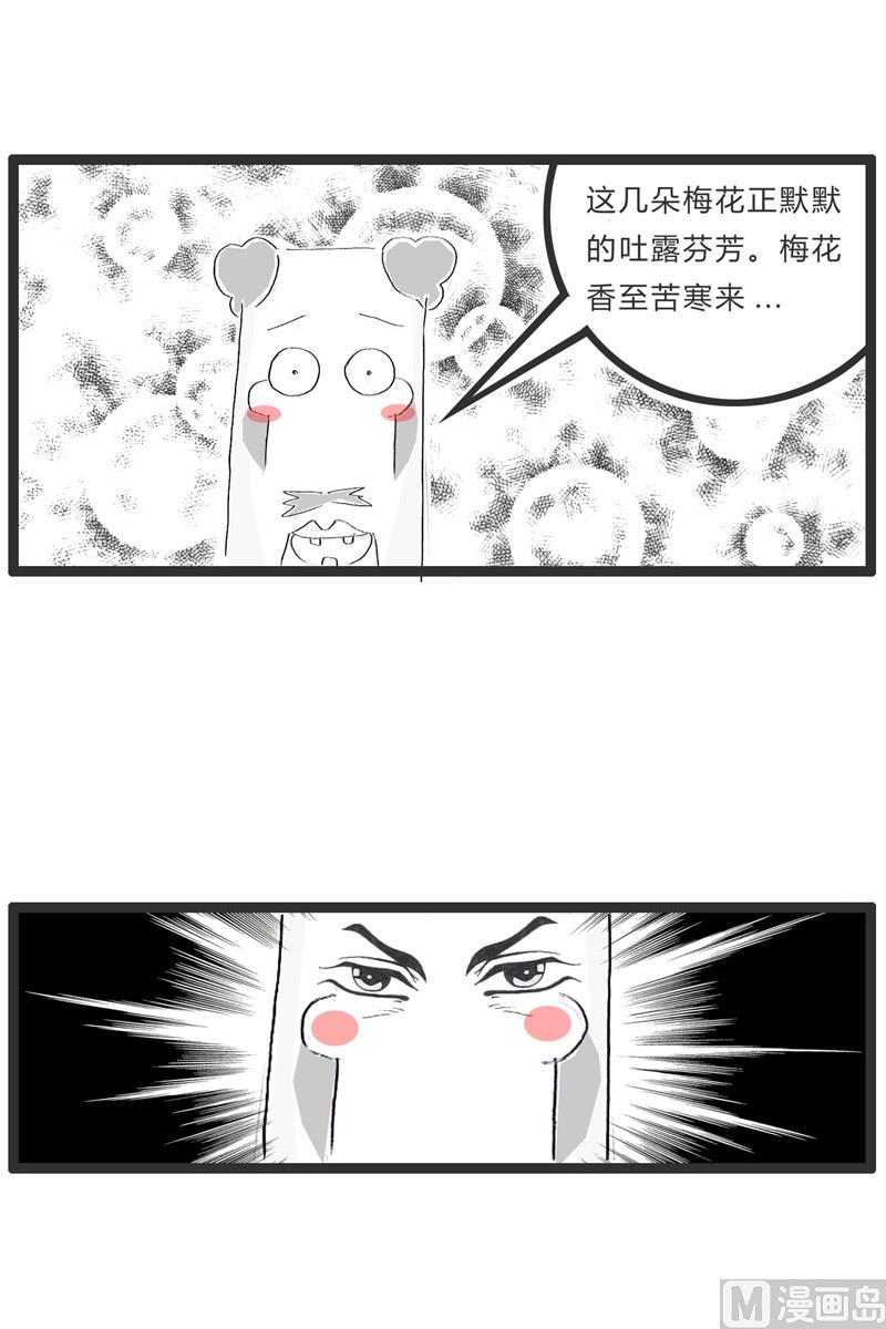 盛开的梅花-第149话