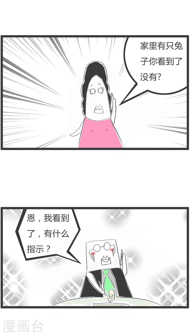 第249话 兔子喂了没-第249话
